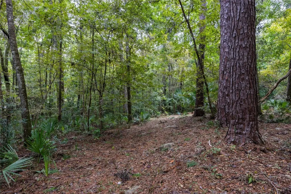 3960 NW 30TH PLACE Gainesville, FL 32606