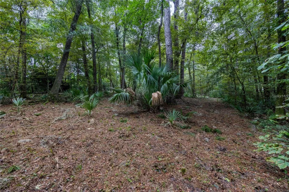 3960 NW 30TH PLACE Gainesville, FL 32606
