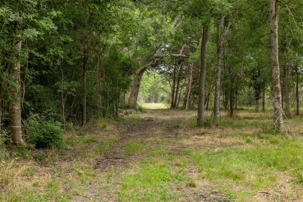 Ives Creek Road Bellville, TX 77418