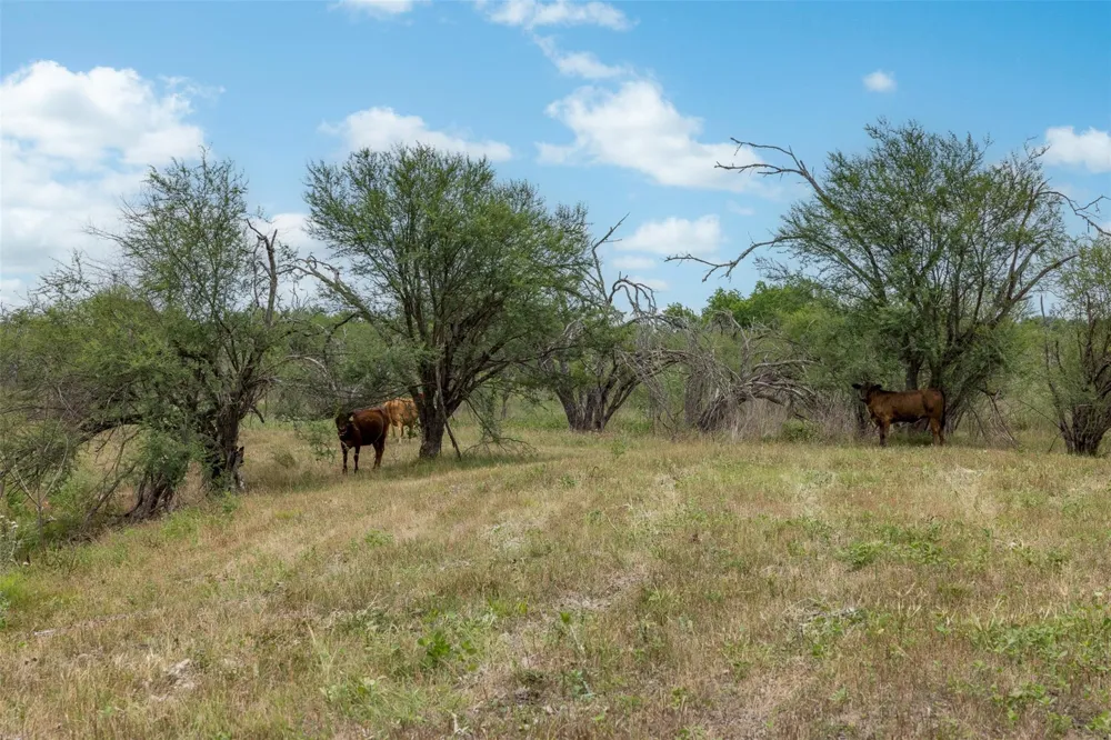 Ives Creek Road Bellville, TX 77418