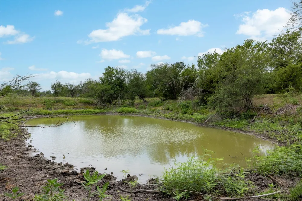 Ives Creek Road Bellville, TX 77418