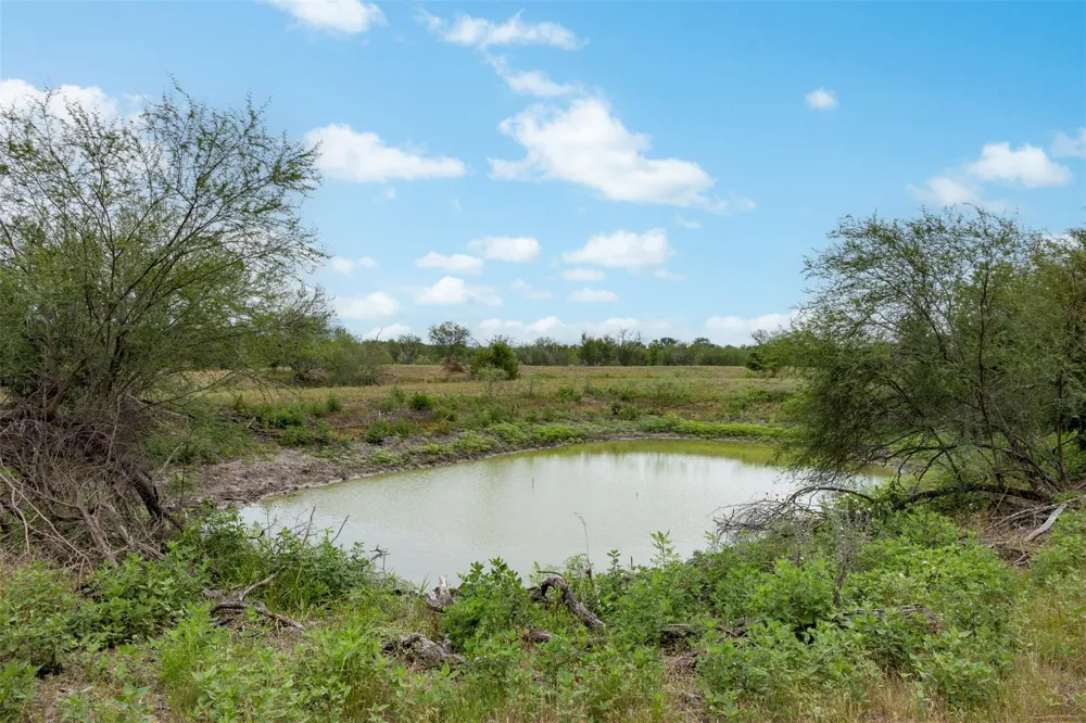 Ives Creek Road Bellville, TX 77418