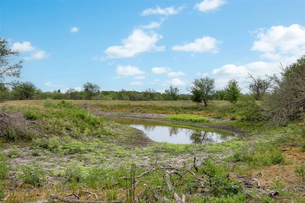 Ives Creek Road Bellville, TX 77418