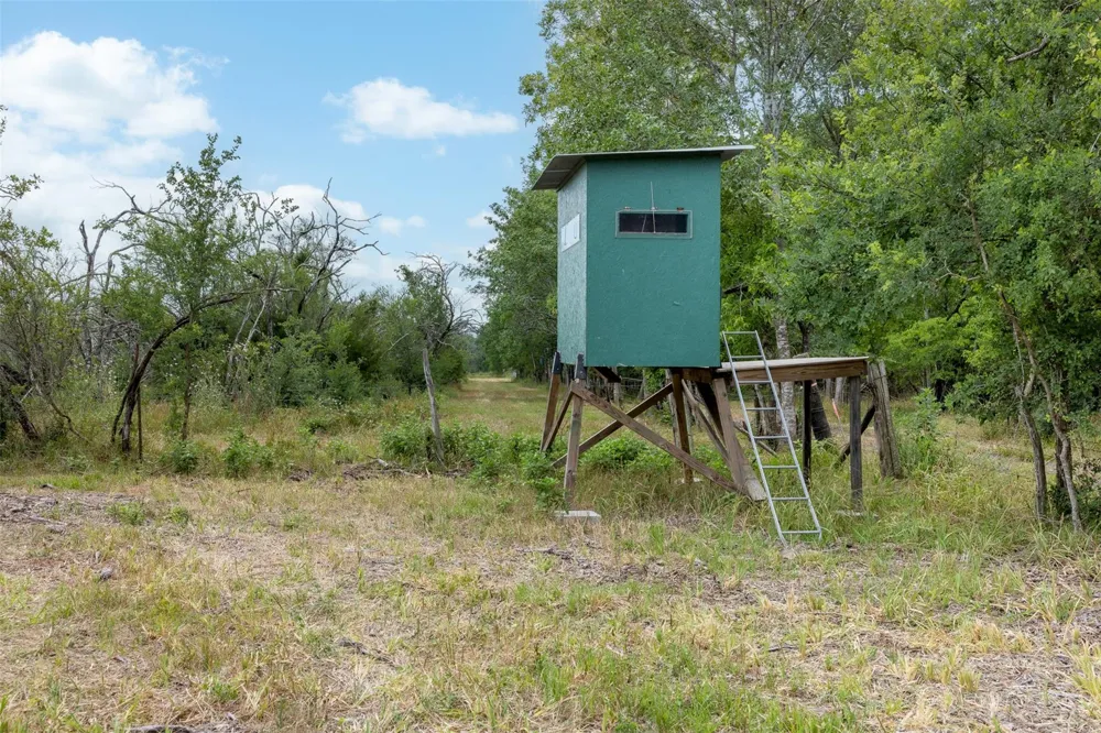 Ives Creek Road Bellville, TX 77418