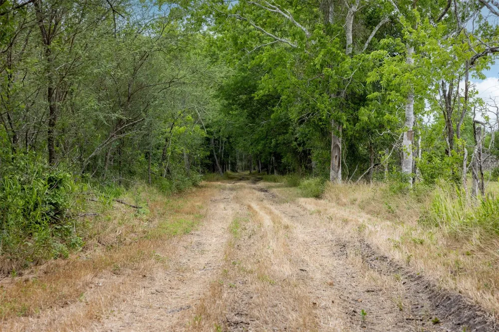 Ives Creek Road Bellville, TX 77418