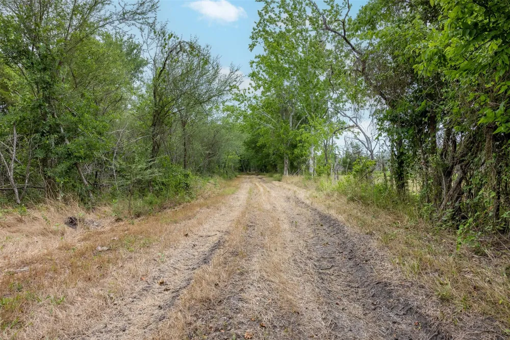 Ives Creek Road Bellville, TX 77418