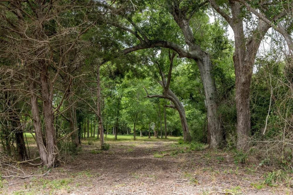 Ives Creek Road Bellville, TX 77418