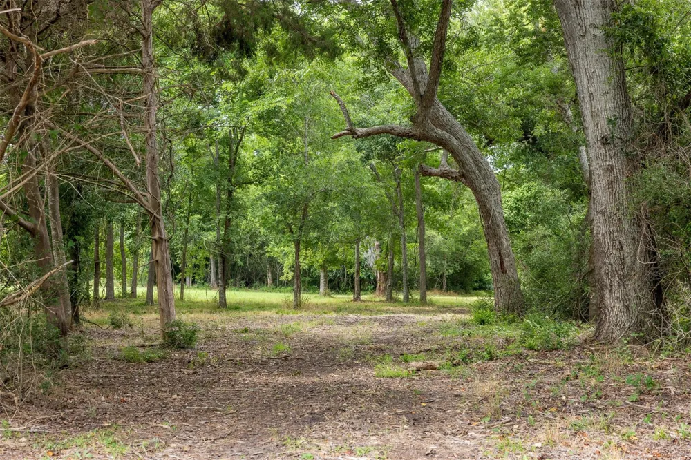 Ives Creek Road Bellville, TX 77418