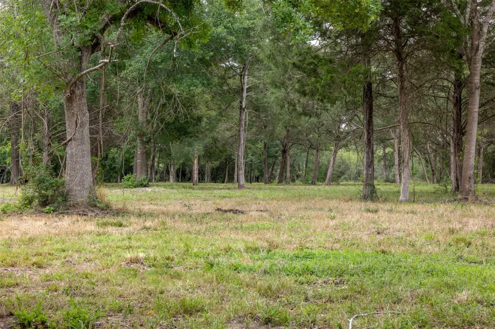 Ives Creek Road Bellville, TX 77418