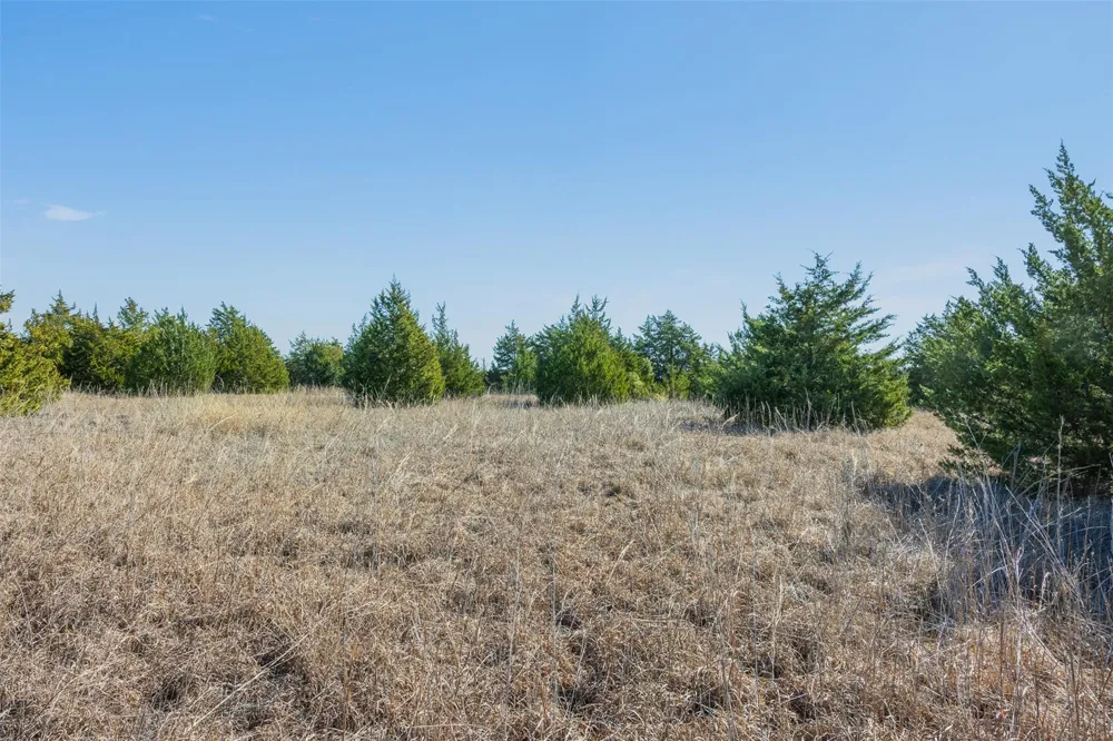 Hwy 237 Round Top, TX 78954