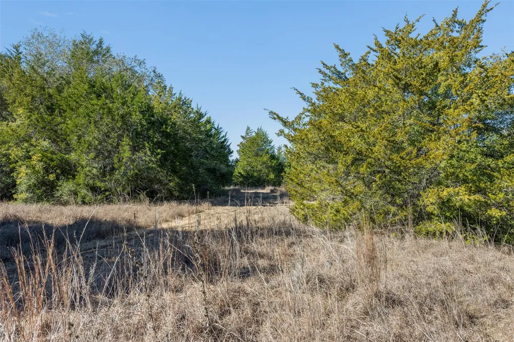 Hwy 237 Round Top, TX 78954