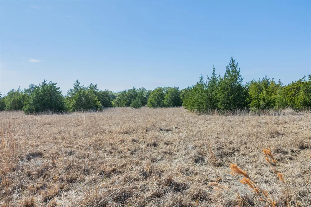 Hwy 237 Round Top, TX 78954