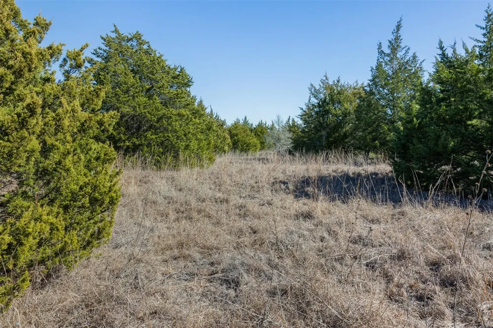 Hwy 237 Round Top, TX 78954