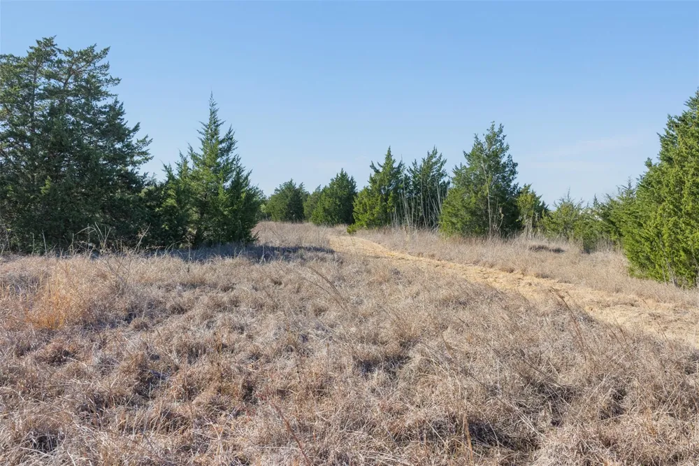 Hwy 237 Round Top, TX 78954