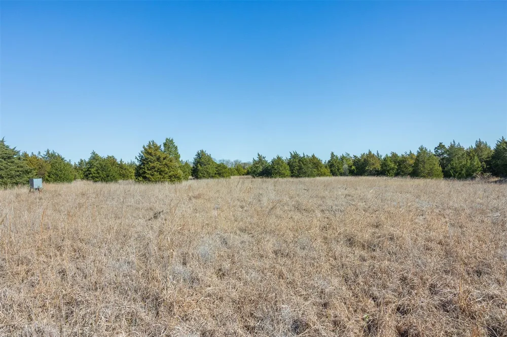 Hwy 237 Round Top, TX 78954