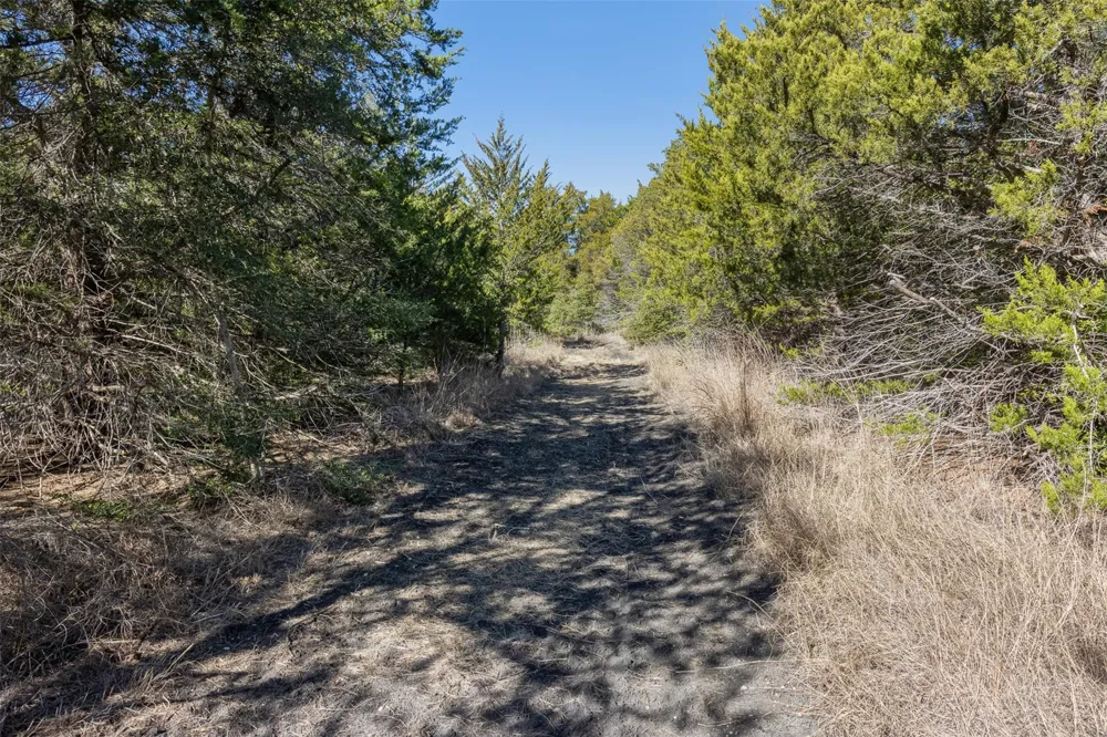 Hwy 237 Round Top, TX 78954