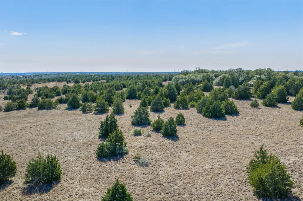 Hwy 237 Round Top, TX 78954