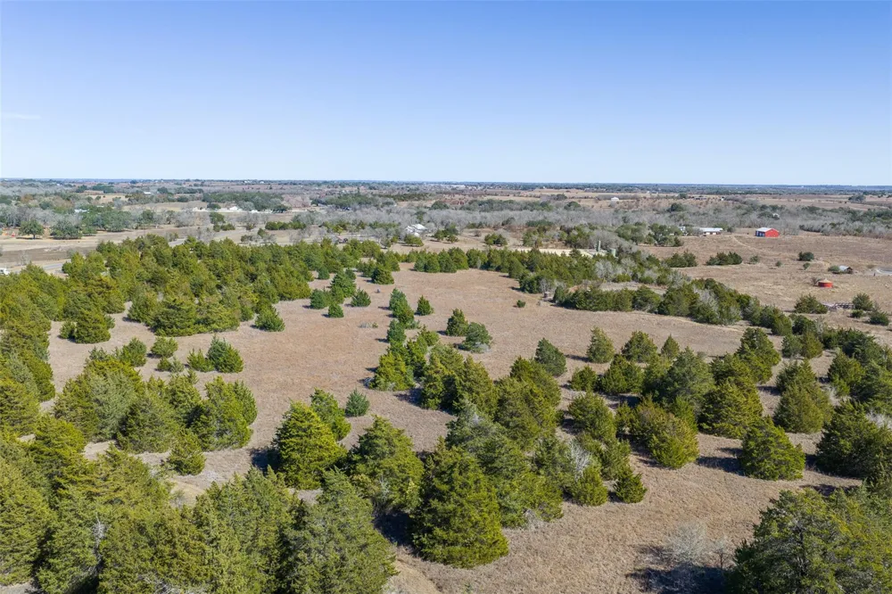 Hwy 237 Round Top, TX 78954