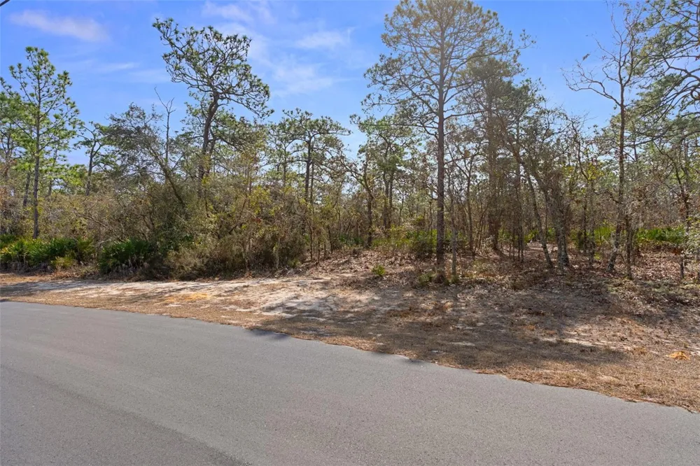 4976 W YEARLING DRIVE Beverly Hills, FL 34465