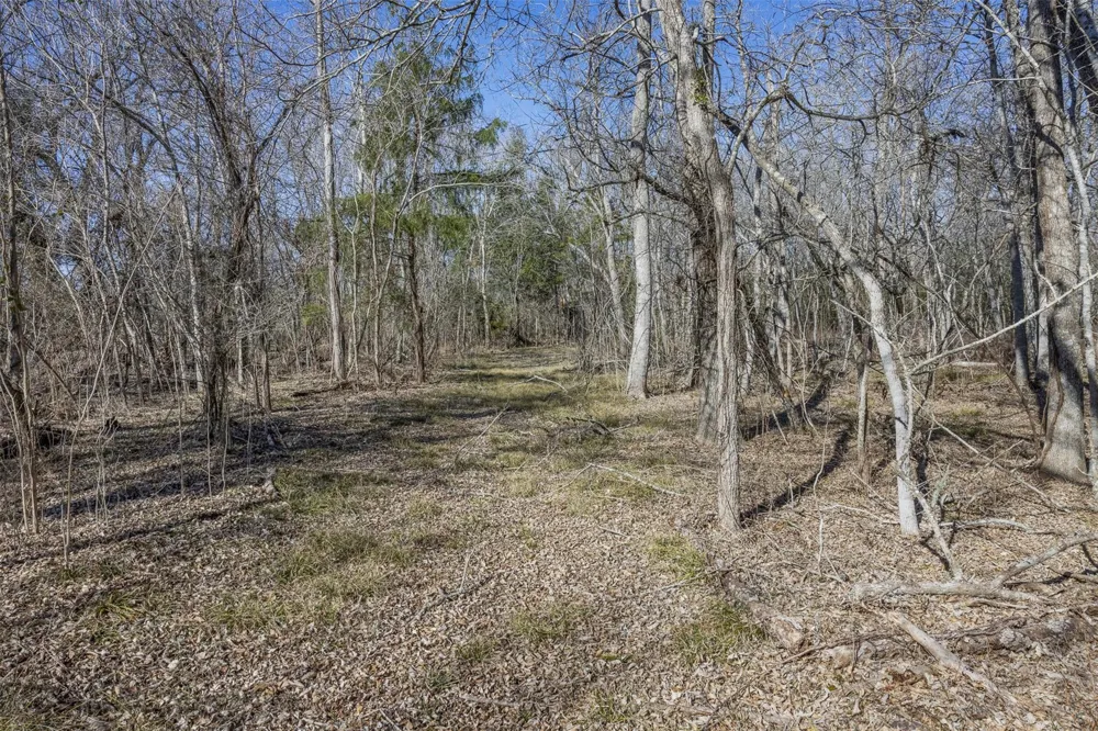 2998 E State Highway 237 Round Top, TX 78954