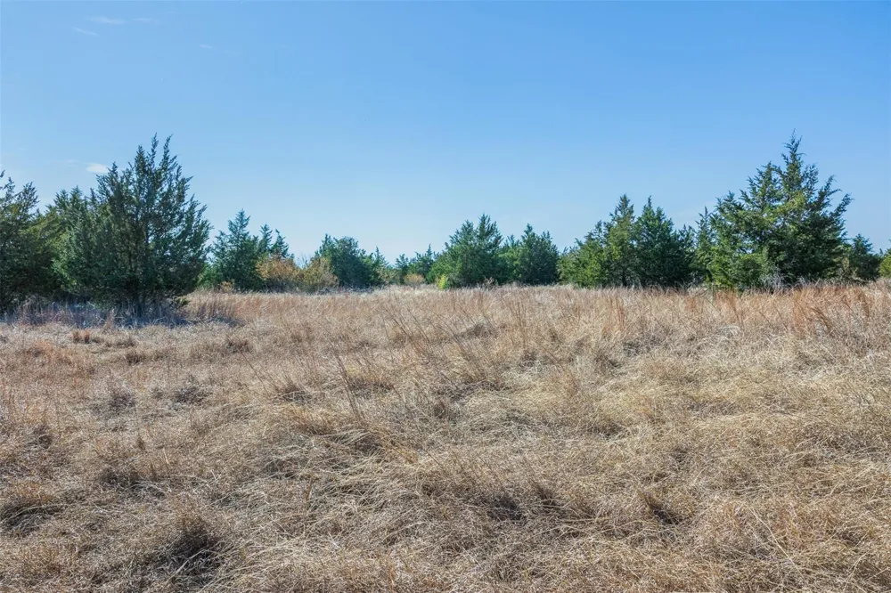 2998 E State Highway 237 Round Top, TX 78954