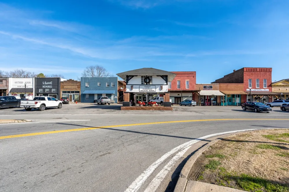 307 Vine St S Wartrace, TN 37183
