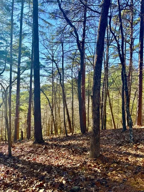 334 Packet Court Ranger, GA 30734