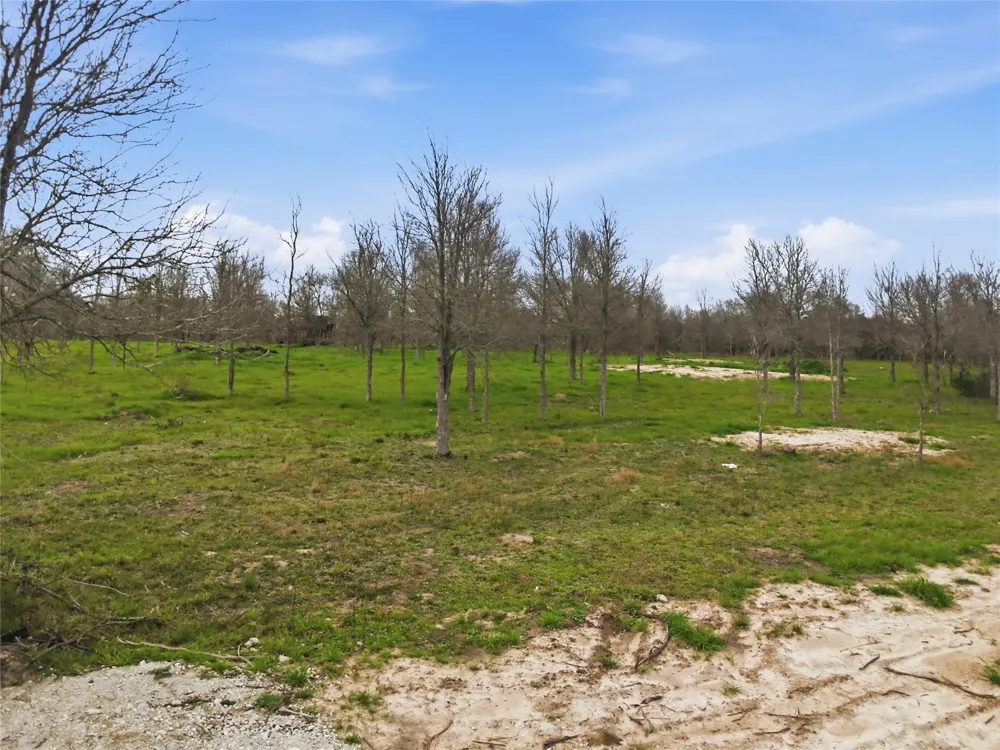 Willow Road Wallis, TX 77485