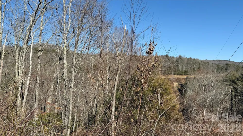207 Receptive Drive #29 Glenville, NC 28736
