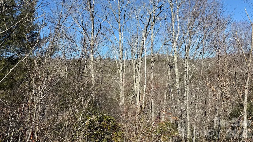 207 Receptive Drive #29 Glenville, NC 28736