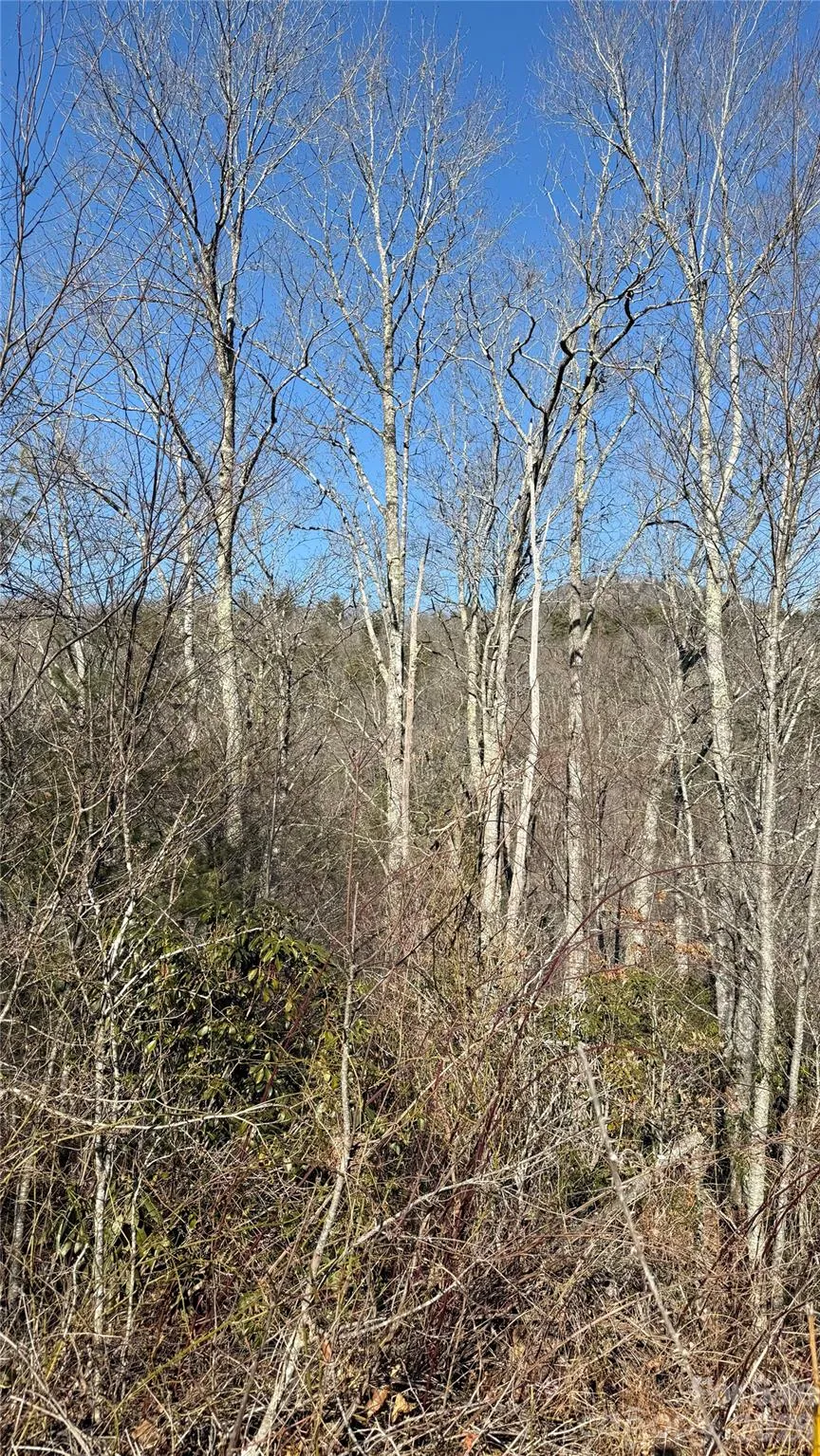 207 Receptive Drive #29 Glenville, NC 28736