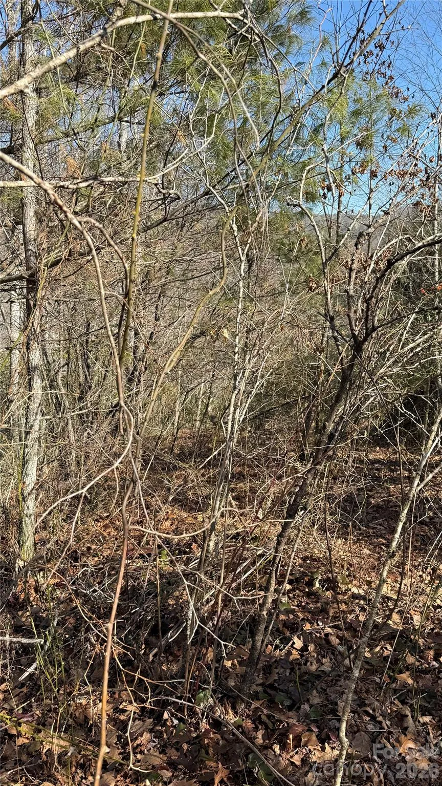 207 Receptive Drive #29 Glenville, NC 28736