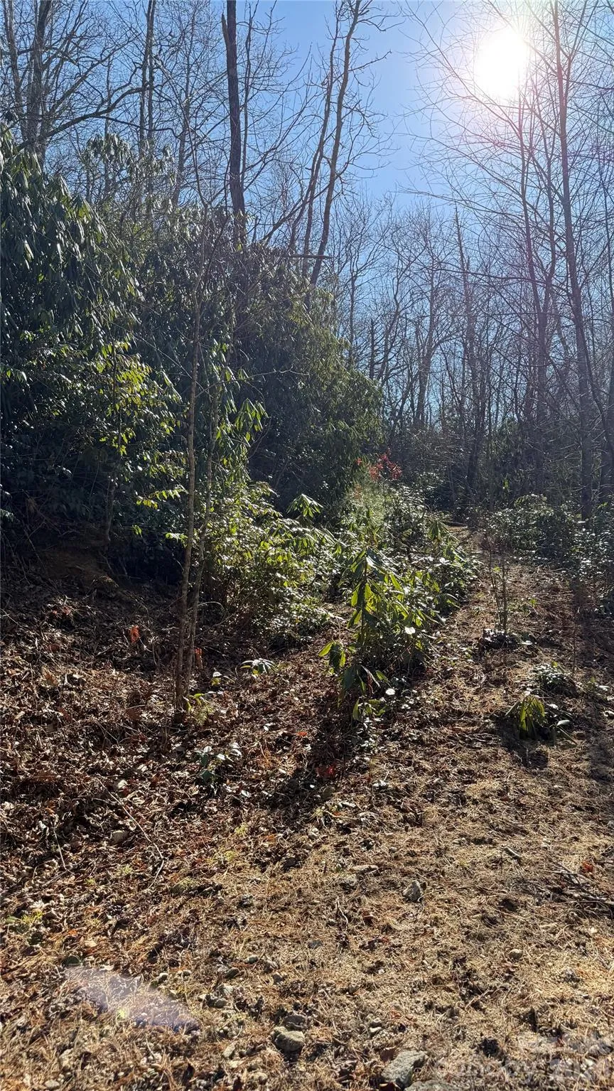 207 Receptive Drive #29 Glenville, NC 28736