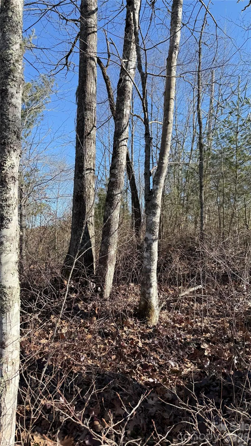 207 Receptive Drive #29 Glenville, NC 28736