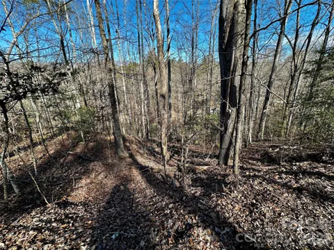 Lot 11 Blue Mist Mountain Road