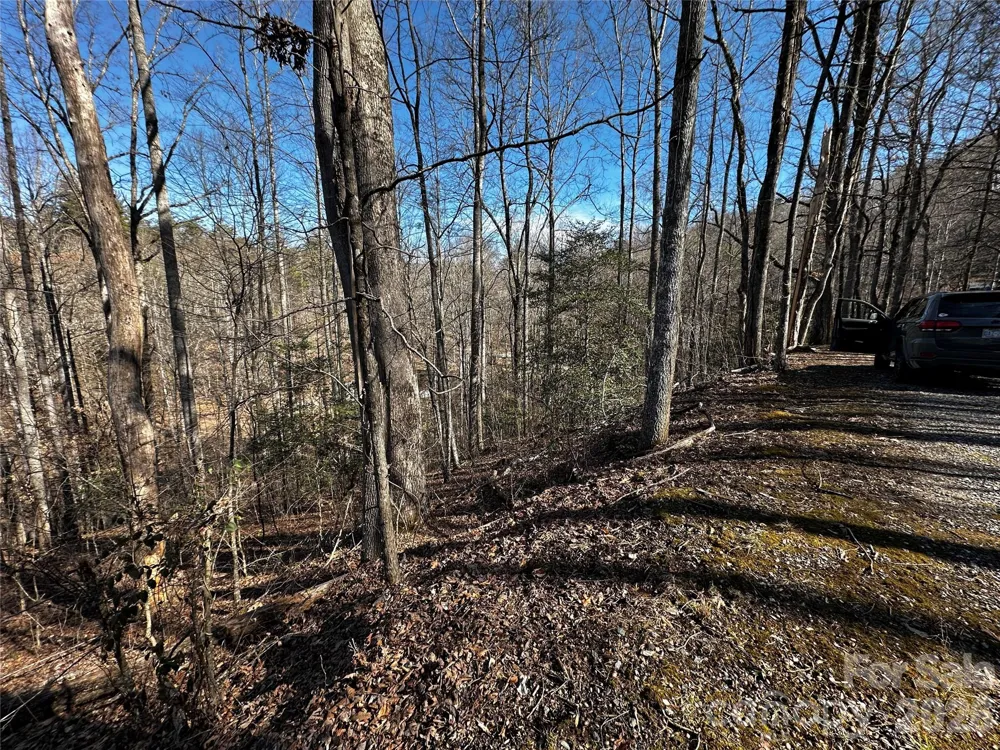 Lot 11 Blue Mist Mountain Road Whittier, NC 28789