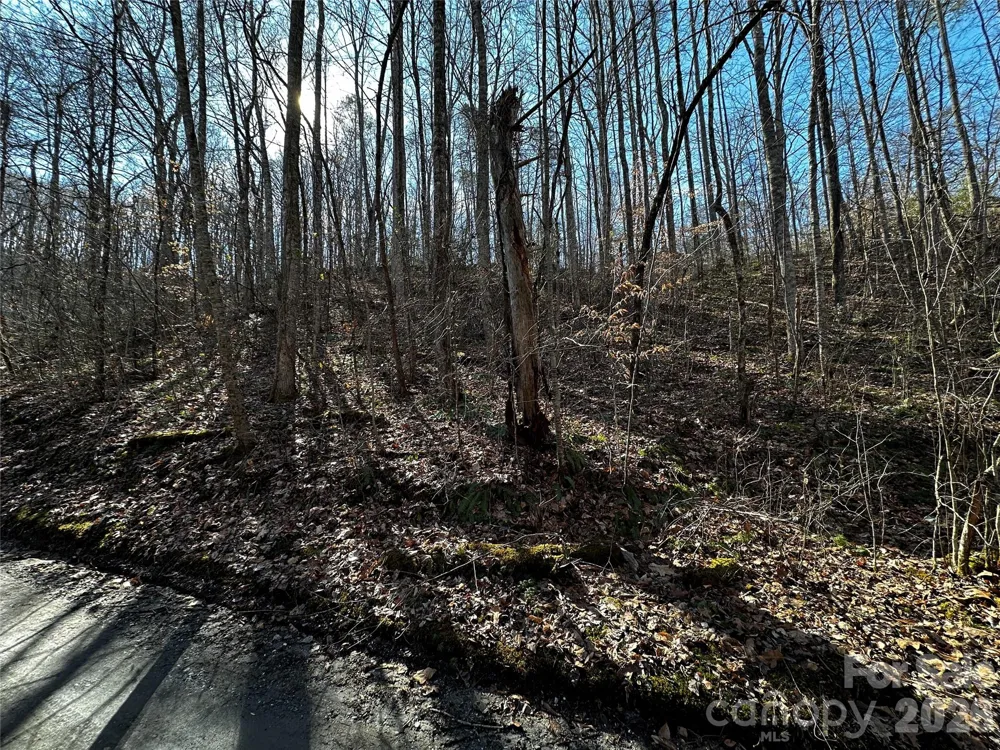 Lot 11 Blue Mist Mountain Road Whittier, NC 28789