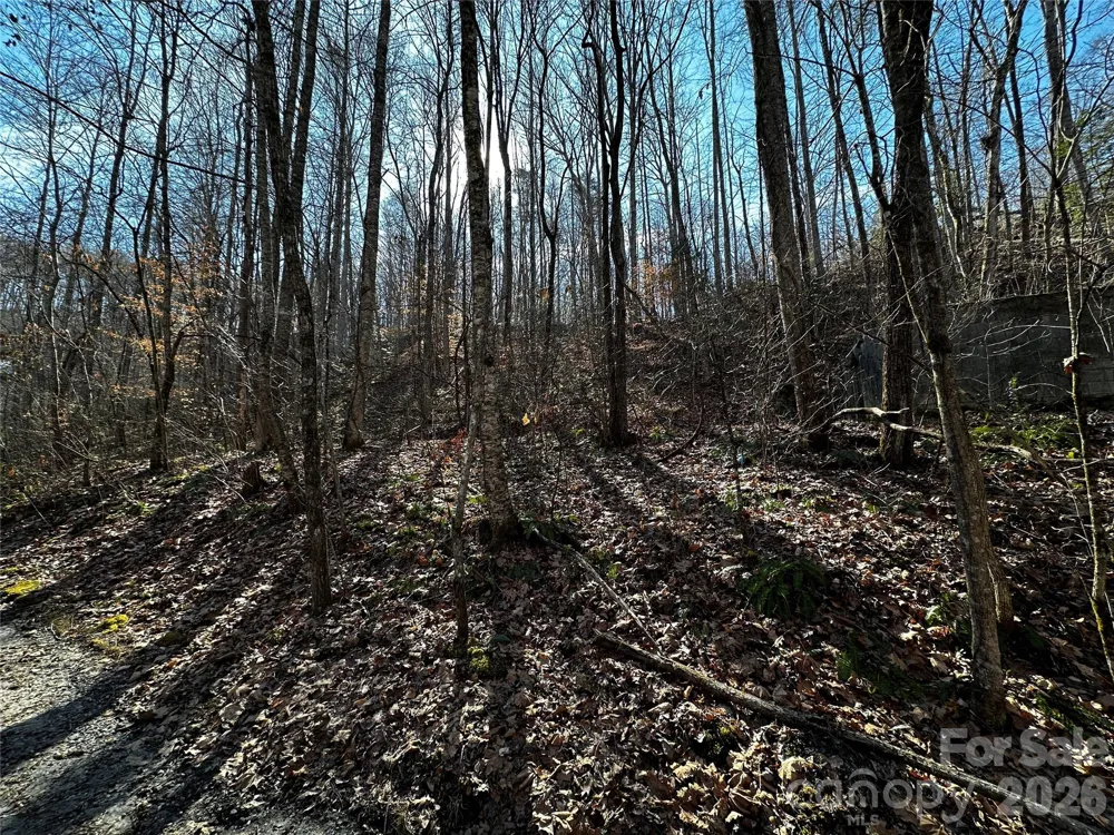 Lot 11 Blue Mist Mountain Road Whittier, NC 28789
