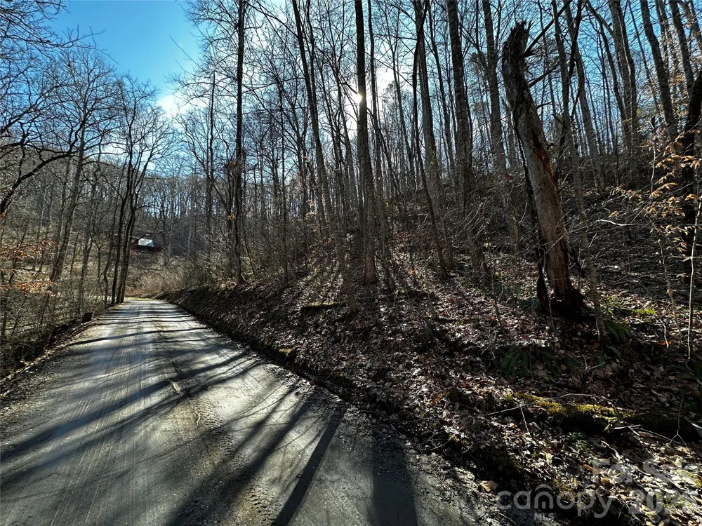 Lot 11 Blue Mist Mountain Road Whittier, NC 28789