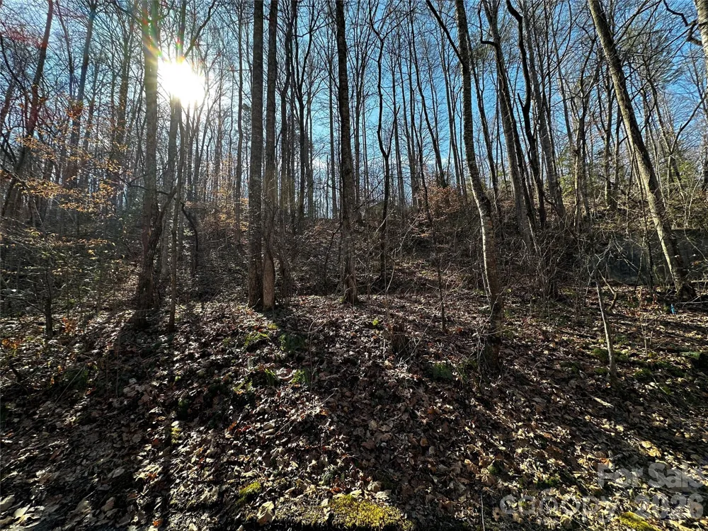 Lot 11 Blue Mist Mountain Road Whittier, NC 28789