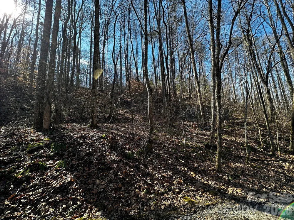 Lot 11 Blue Mist Mountain Road Whittier, NC 28789