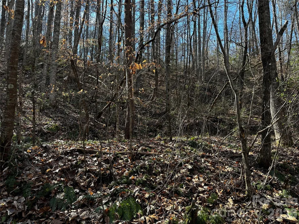 Lot 11 Blue Mist Mountain Road Whittier, NC 28789