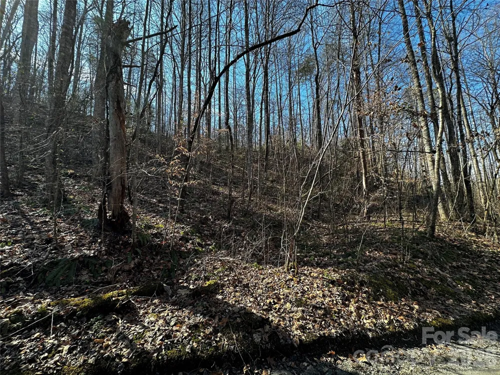 Lot 11 Blue Mist Mountain Road Whittier, NC 28789
