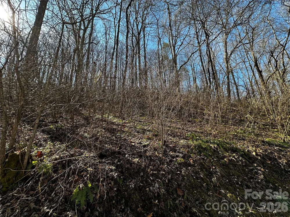 Lot 11 Blue Mist Mountain Road Whittier, NC 28789
