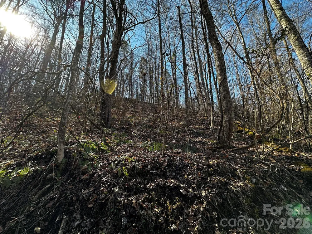 Lot 11 Blue Mist Mountain Road Whittier, NC 28789