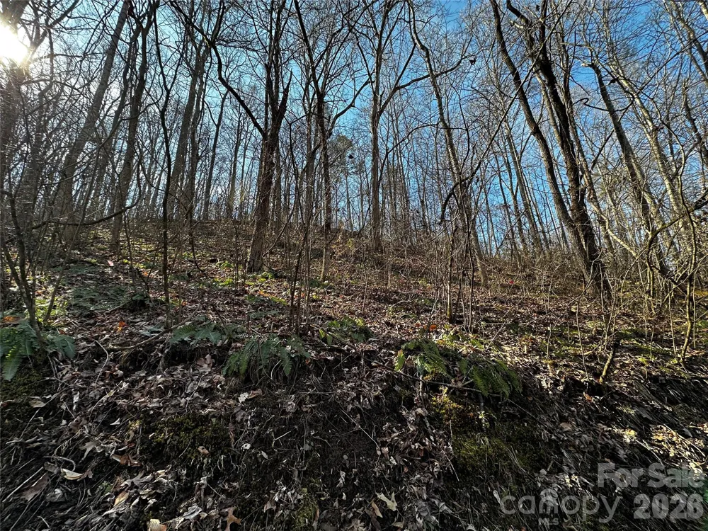 Lot 11 Blue Mist Mountain Road Whittier, NC 28789