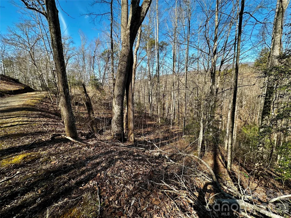 Lot 11 Blue Mist Mountain Road Whittier, NC 28789