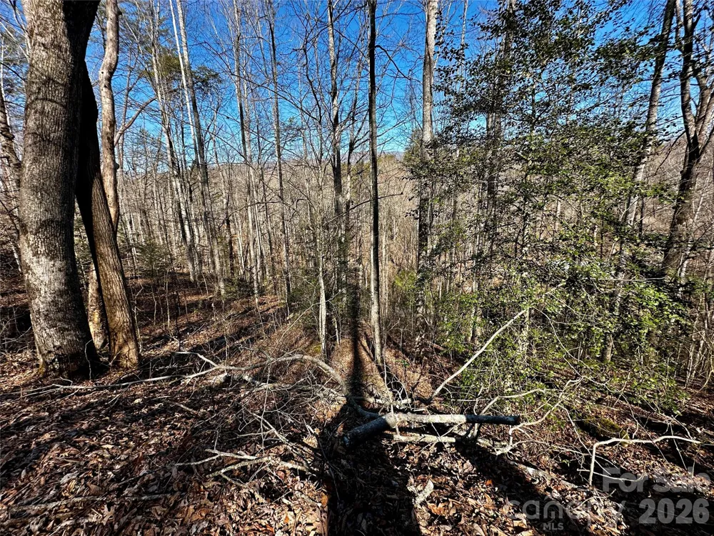 Lot 11 Blue Mist Mountain Road Whittier, NC 28789