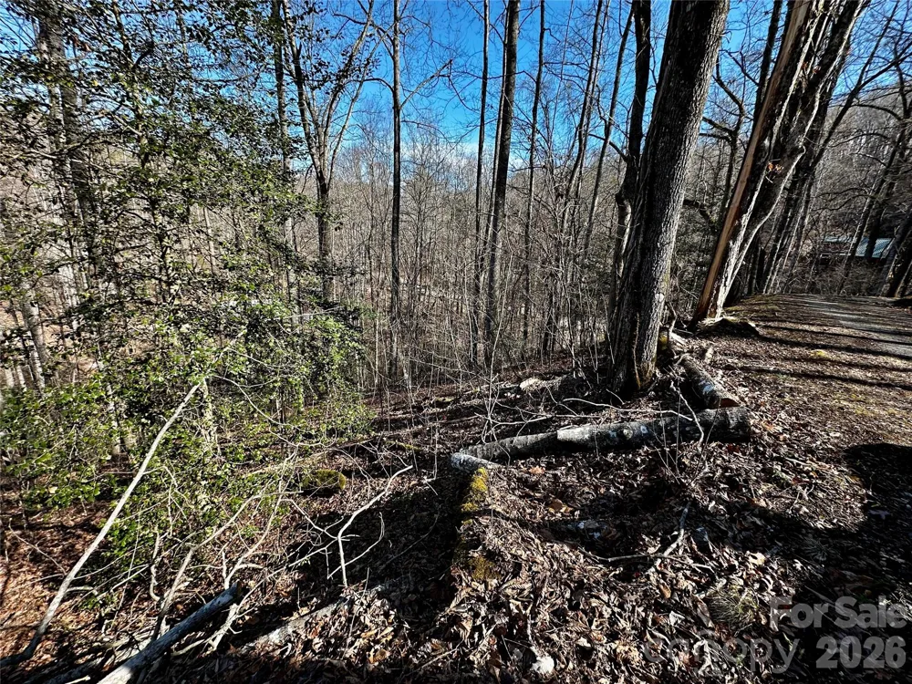 Lot 11 Blue Mist Mountain Road Whittier, NC 28789