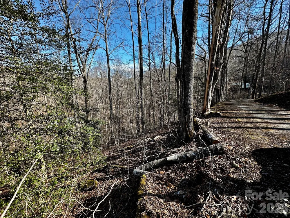 Lot 11 Blue Mist Mountain Road Whittier, NC 28789